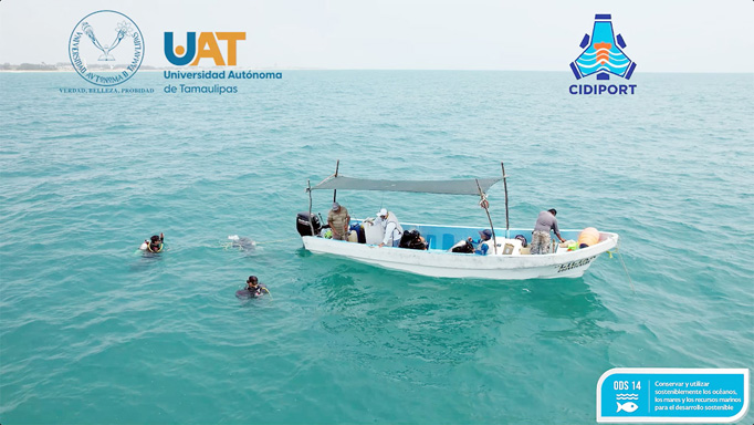 Descubre UAT Arrecife Rocoso Sumergido en la costa sur de Tamaulipas.