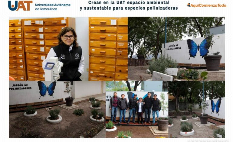 Crean en la UAT espacio ambiental y sustentable para especies polinizadoras