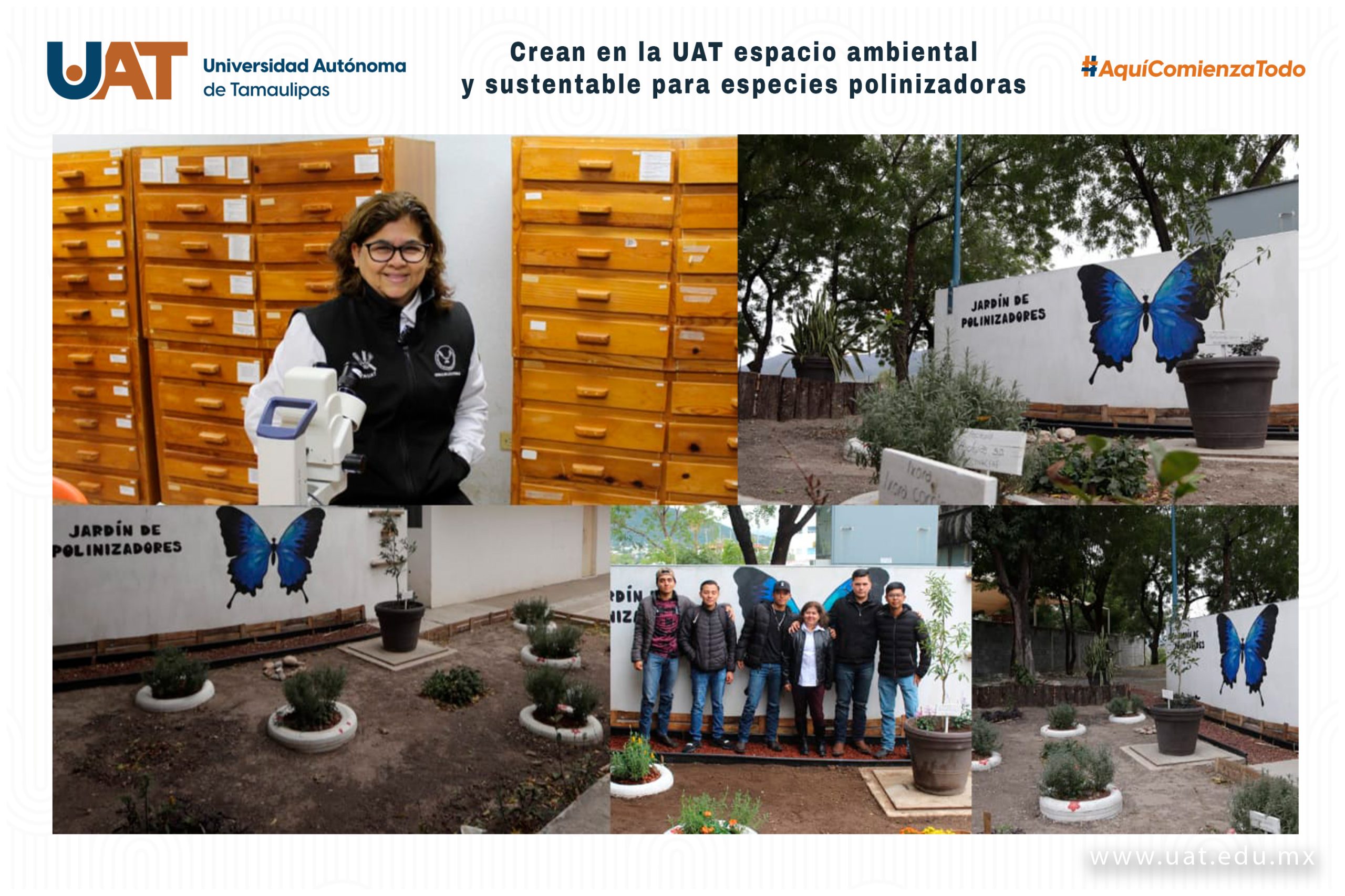 Crean en la UAT espacio ambiental y sustentable para especies polinizadoras