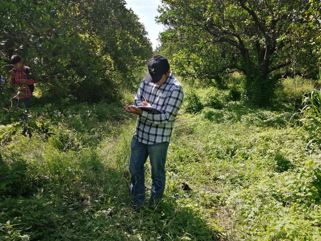 Desarrolla la UAT un proyecto para evaluar los residuos contaminantes de agroquímicos en el suelo