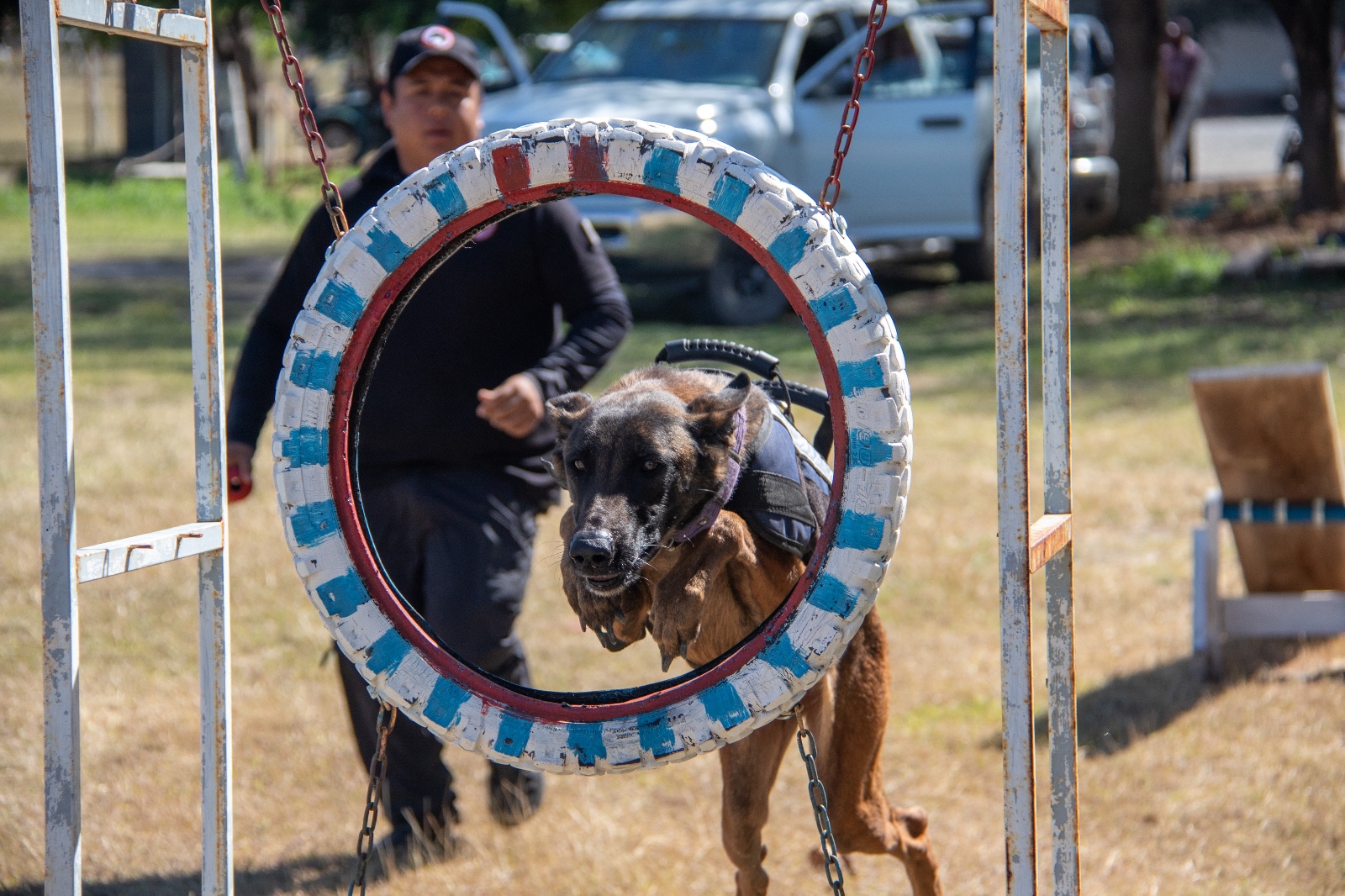 Estudiante de la UAT aporta su experiencia en adiestramiento canino al servicio comunitario