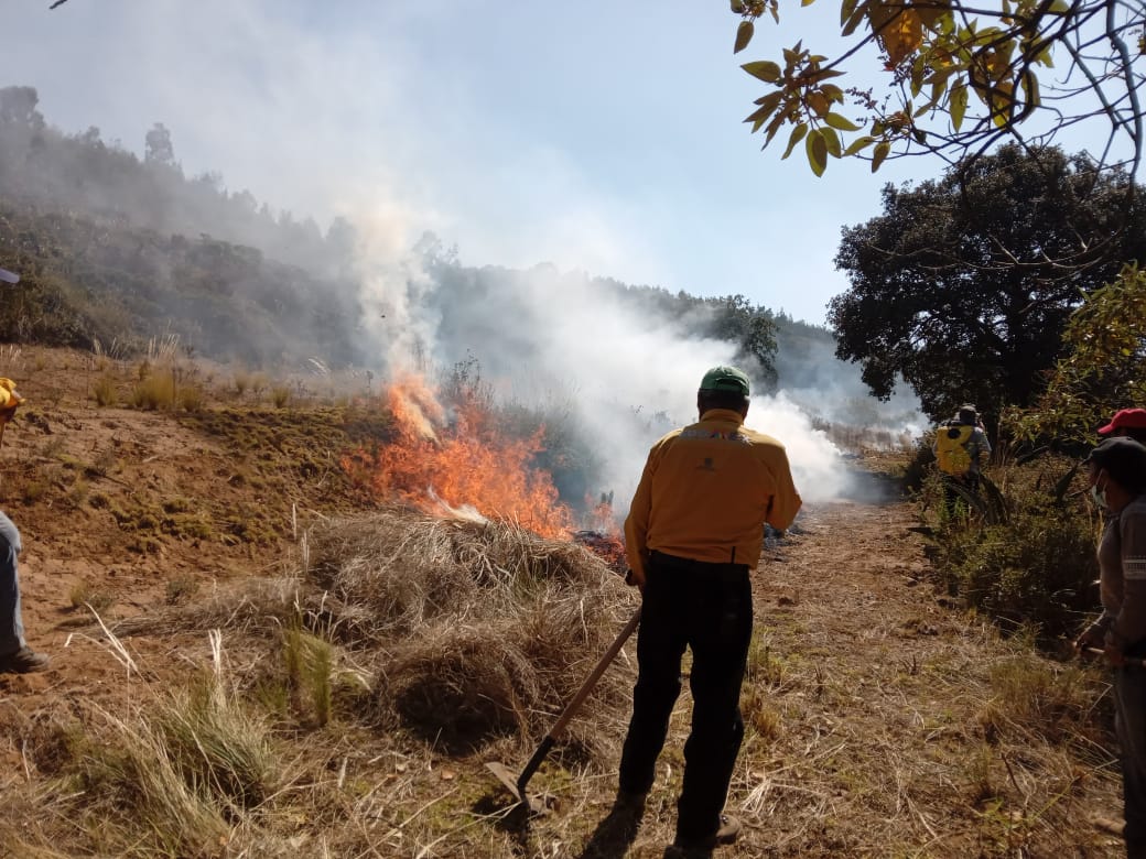 Incendios forestales en aumento, crisis climática impacta en el Edomex