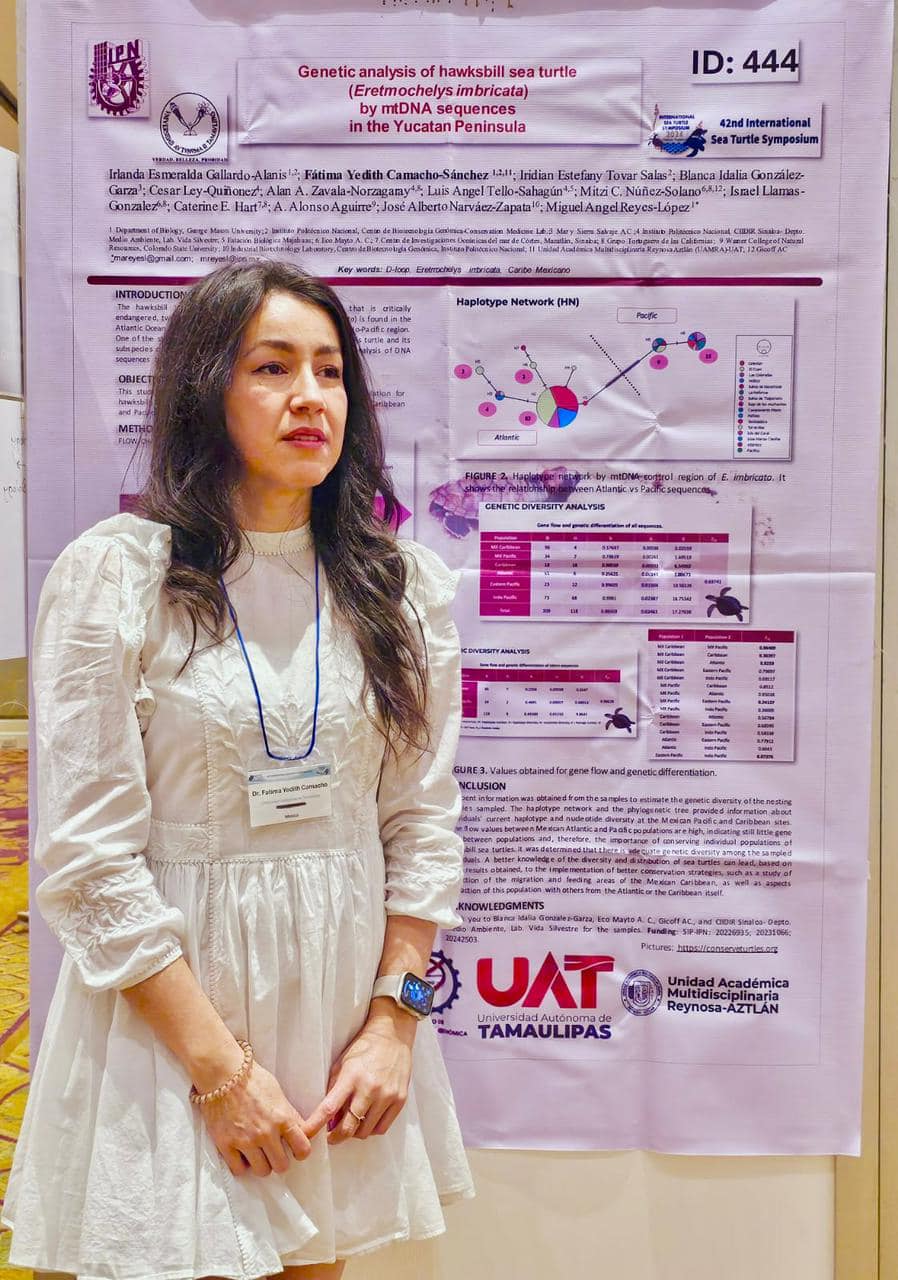 Investigadora de la UAT presenta en Tailandia estudio genético de las tortugas carey