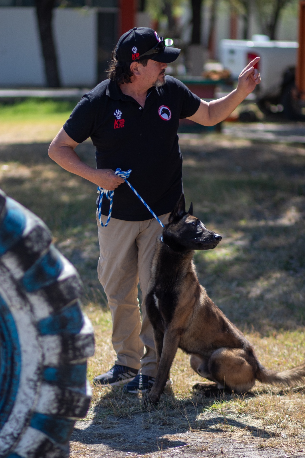 Implementa la UAT cursos de adiestramiento canino