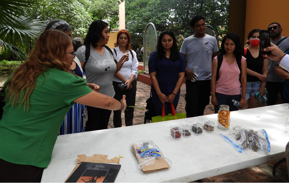 Realiza la UAT el segundo taller de jardines para polinizadores y aves