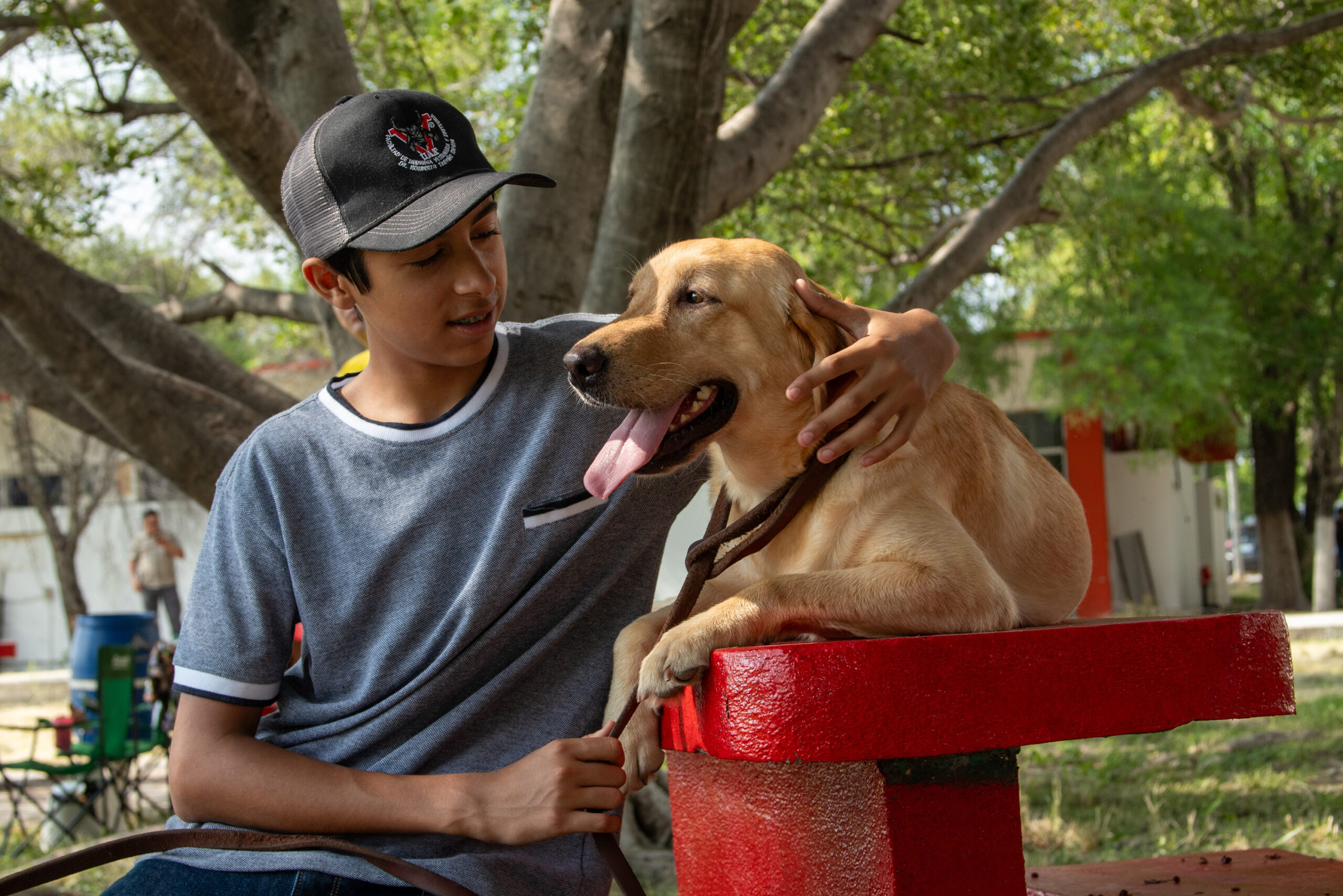 Pondrá la UAT en adopción héroes caninos