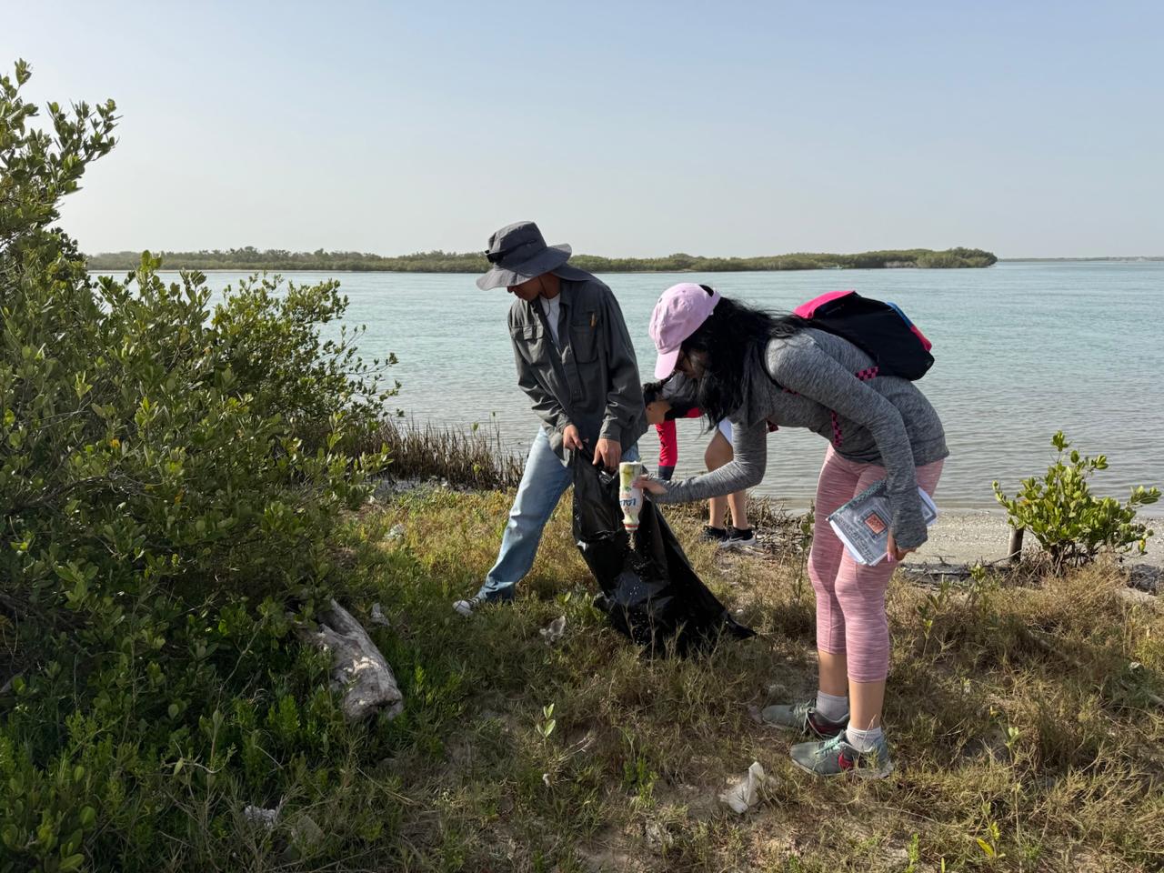 Colabora la UAT en la conservación del mangle en el litoral tamaulipeco