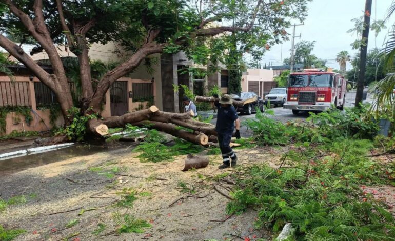 Activa Gobierno de Victoria operativo por periodo de lluvias
